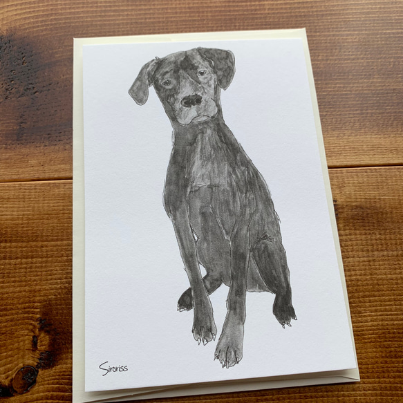 カード＆封筒セット（カード３枚・封筒３枚）北海道犬・ハスキー・ブルーレーシー 4枚目の画像