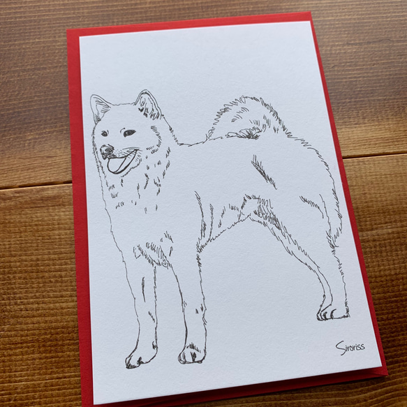 カード＆封筒セット（カード３枚・封筒３枚）北海道犬・ハスキー・ブルーレーシー 5枚目の画像