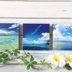 【最後1點】天堂藍〜沖繩風景進入你的房間【圖片面板】 第7張的照片