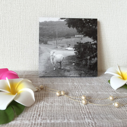 【感謝セール♡】モノクロパネル３枚セット〜沖縄の風景をあなたのお部屋に〜 4枚目の画像