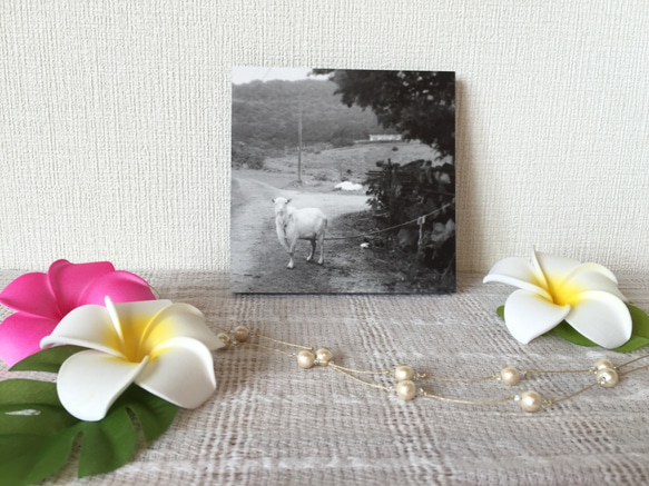【感謝セール♡】モノクロパネル３枚セット〜沖縄の風景をあなたのお部屋に〜 4枚目の画像