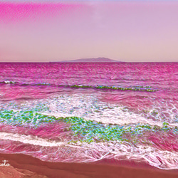 【メッセージカード】Sea of ​​magenta 1枚目の画像