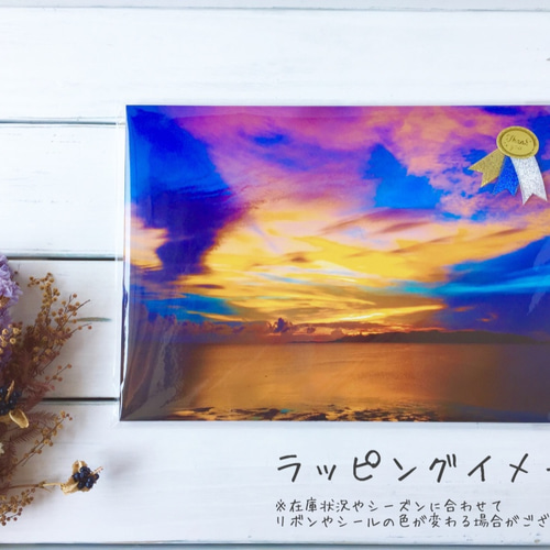 愛おしい痛み 〜沖縄の風景をあなたのお部屋に〜 【A3サイズ写真
