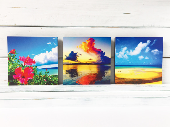 【僅1分】熱帶風情〜在您的房間沖繩景觀【圖片面板】 第3張的照片