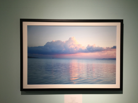 一点限り！写真展での展示品、特大サイズ『Deep colors of life』【写真＋マットとフレーム付き】 2枚目の画像