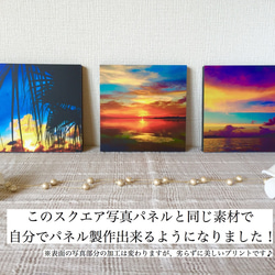 今後の予定やお知らせ・mizuphoto通信 【2019.9/22更新】 2枚目の画像