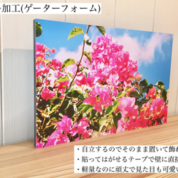 甜美的誘惑〜將沖繩的風景帶到您的房間〜[圖片面板] 第4張的照片