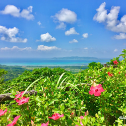 Beautiful island 〜沖縄の風景をあなたのお部屋に〜【写真サイズやパネル加工・フレーム付きが選べる】 1枚目の画像