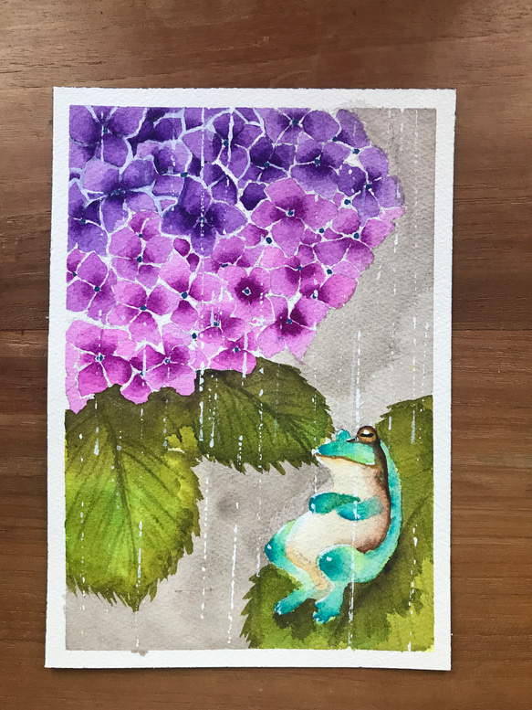 絵画　水彩画　あじさい あじさい色」 . a watercolor painting