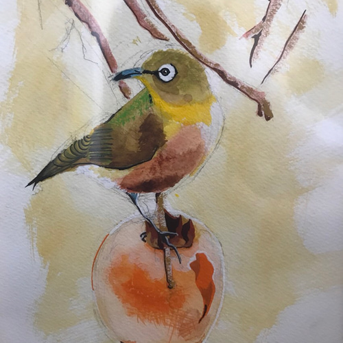 柿とメジロ＊ インテリアに 原画 送料無料 水彩 絵画 がちゃ 通販