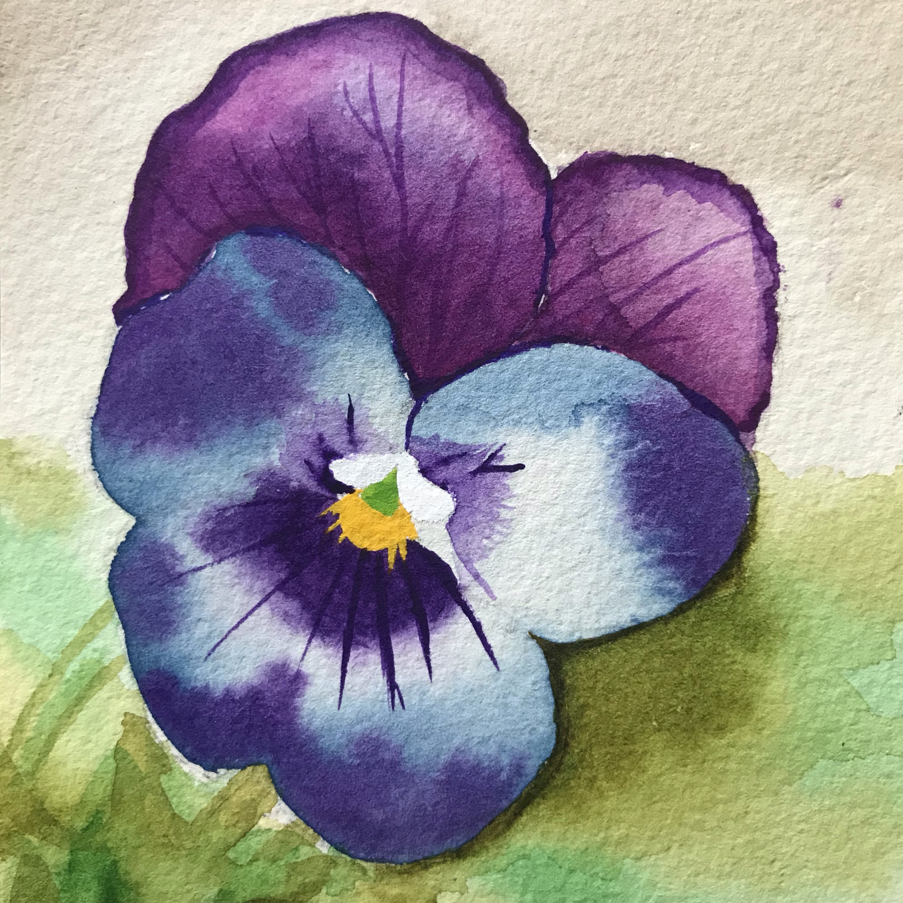 【時間指定不可】 ポストカード ＊ 小さなやすらぎ(ビオラ) 原画 がちゃ 絵画 水彩 絵画
