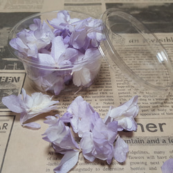 残１セット！カシワバ紫陽花 ホワイトパープル 2枚目の画像