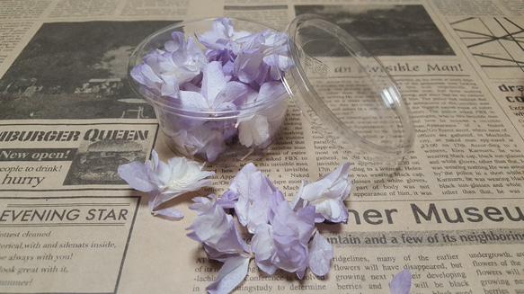 残１セット！カシワバ紫陽花 ホワイトパープル 2枚目の画像