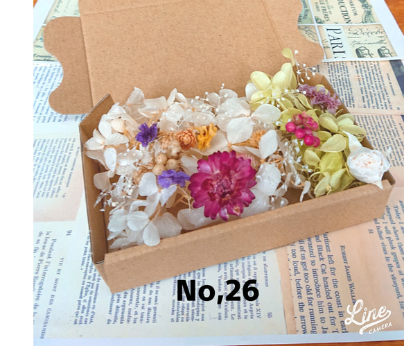 花材詰め合わせ NO．Cー26 ハーバリウム プリザーブドフラワー  