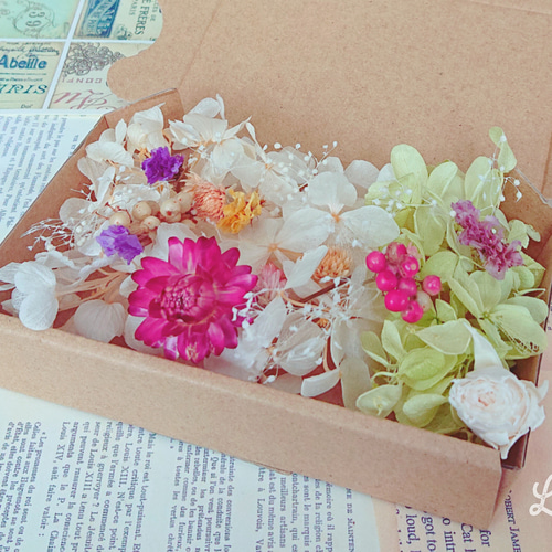 花材詰め合わせ NO．Cー26 ハーバリウム プリザーブドフラワー  