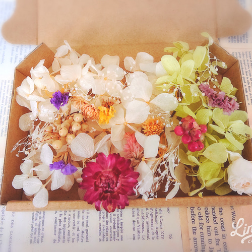 花材詰め合わせ NO．Cー26 ハーバリウム プリザーブドフラワー  