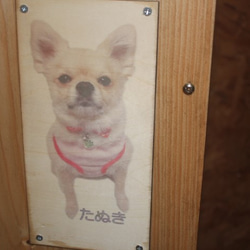 大人気・ペットの仏壇・メモリアルボックス 3枚目の画像