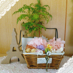 Petit panier de fleur*小さな花籠*
basket(B) 1枚目の画像
