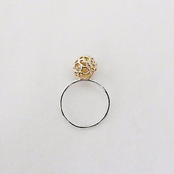 AWA ring3的K10 第4張的照片