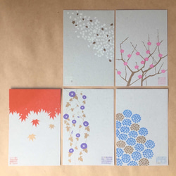 草花のポストカード5枚セット（風景印ガイド付） 2枚目の画像