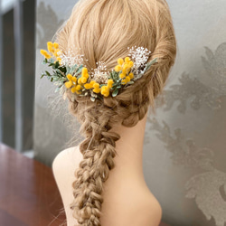 カラフルスターチススワッグ☆長さ40㎝ ドライフラワー sweet-cafe