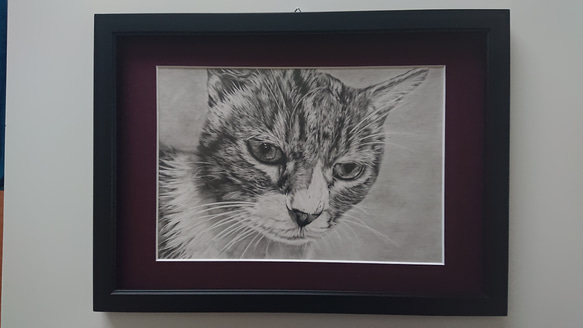 猫 鉛筆画 1枚目の画像