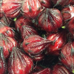 【お茶にして飲めるジャム】りんご＆ローゼル 3枚目の画像