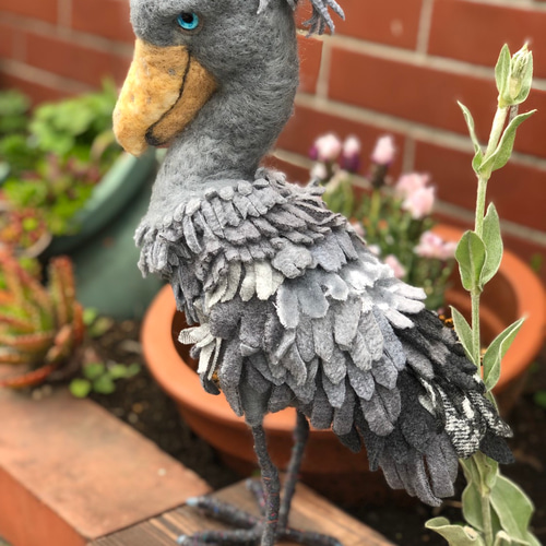 ハシビロコウのオーダーページ ハシビロコウのオーダーページ