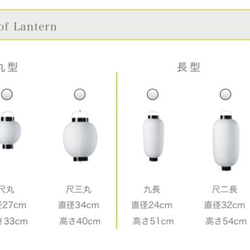 オーダーデザイン提灯 2枚目の画像