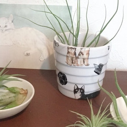 猫ちゃん植木鉢ミニカバー 1枚目の画像