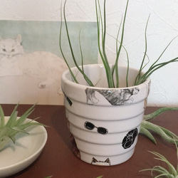 猫ちゃん植木鉢ミニカバー 2枚目の画像