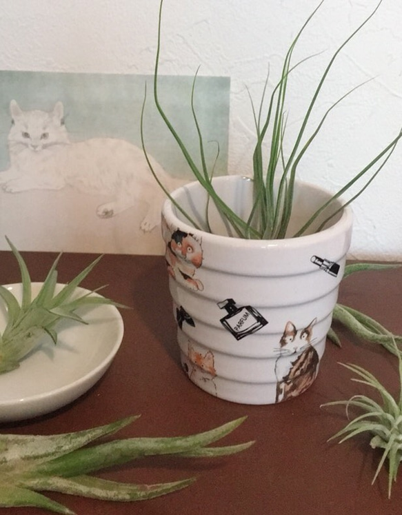 猫ちゃん植木鉢ミニカバー 3枚目の画像