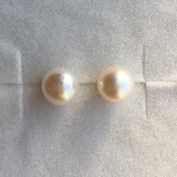 《14kgf》 7-7.5㎜珠 あこや真珠 一粒 ピアス / イヤリング 2枚目の画像