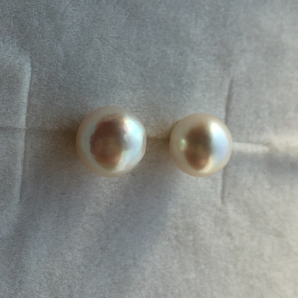 《14kgf》 7-7.5㎜珠 あこや真珠 一粒 ピアス / イヤリング 3枚目の画像