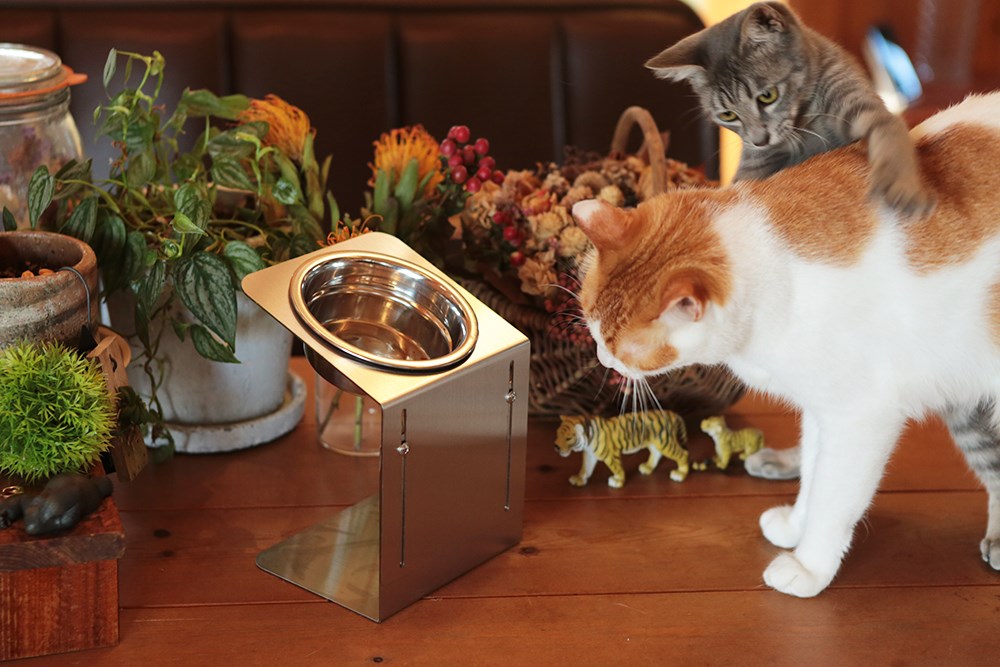 もっと上下する！チョイななめスタンド 【大】 洗えるステンレスフードスタンド