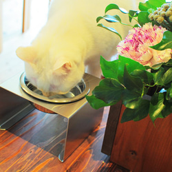 ドッグ カフェ BAR 犬 ワンちゃん ペットショップ 酒 ミニチュア