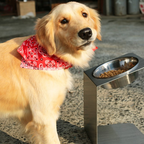 大型チョイななめスタンド【中型~大型】 洗えるステンレスフード