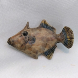 魚箸置き(ウマヅラハキ) 1枚目の画像