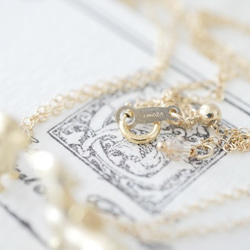 14公斤臘腸犬項鍊 - 狗狗圖案，低過敏性，送給愛狗人士的完美禮物 第5張的照片