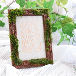 1_7205ce5eaa38b31df3188e048b71