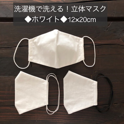 可以在洗衣機中清洗！成人用3D面具◆白色◆12×20cm 第1張的照片