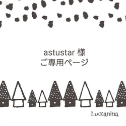 astustar様 ご専用ページ 1枚目の画像