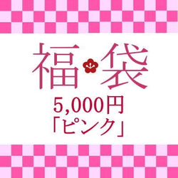 新春特別企画！福袋 5,000円「ピンク」招福アイテム 1枚目の画像