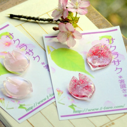 桜のはしおき「サクラサク」パステル2ｐ☆ご注文前に在庫の有無をお問い合わせください 8枚目の画像