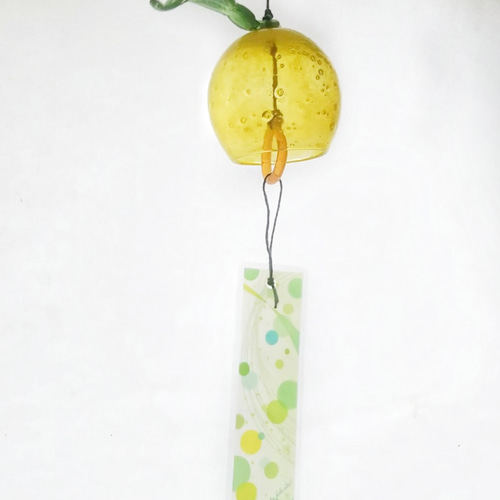 ゆず風味様 木頭ゆず 青ゆずこしょう 40g