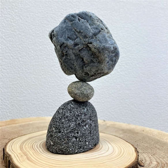 「マルタ座」 かませ石セット（皮つき）[m10-3252c] 4枚目の画像