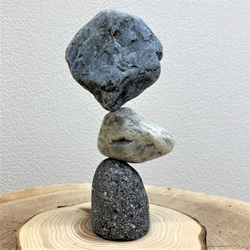「マルタ座」 かませ石セット（皮つき）[m10-3252c] 6枚目の画像