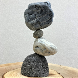 「マルタ座」 かませ石セット（皮つき）[m10-3252c] 1枚目の画像