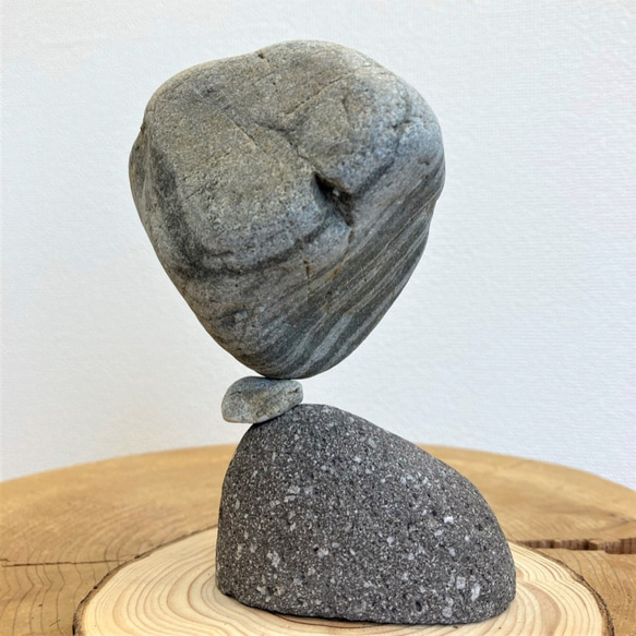 「マルタ座」 かませ石セット（皮つき）[m5-1031c] 3枚目の画像