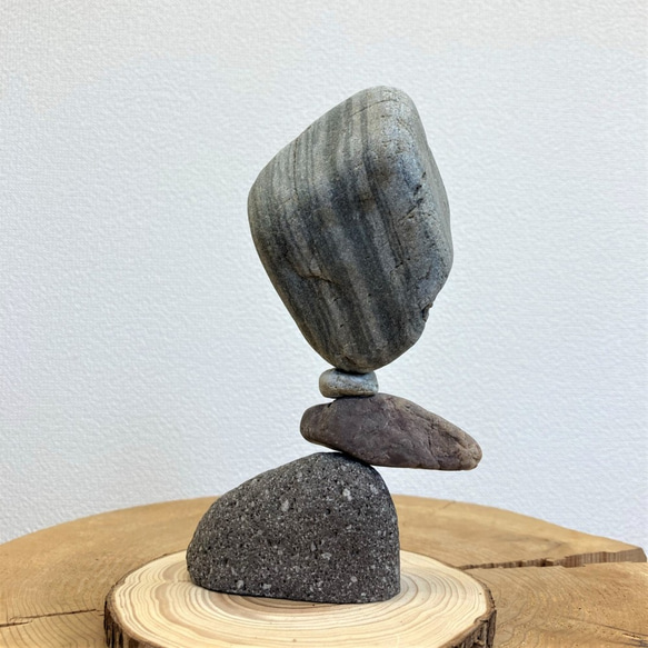 「マルタ座」 かませ石セット（皮つき）[m5-1031c] 4枚目の画像